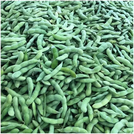 Высокое качество IQF замороженные соевые бобы Edamame Kernel Опытный поставщик сельского хозяйства